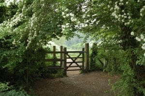 Read more about the article Rustic Elegance: Wooden Gates for Utah Mountain Homes
