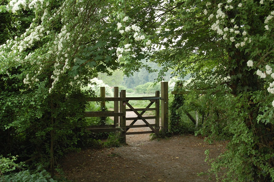 You are currently viewing Rustic Elegance: Wooden Gates for Utah Mountain Homes