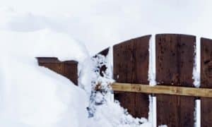 Read more about the article Winterizing Your Gate: Tips for Cold-Weather Care